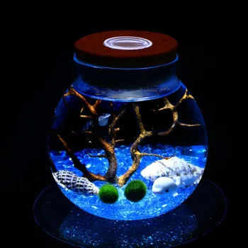 11 CM, Kruhové Skleného pohára Terárium s Farebnými LED Svetlo, Korku Micro Krajiny Ekologická Fľaša Nočné Osvetlenie #264310