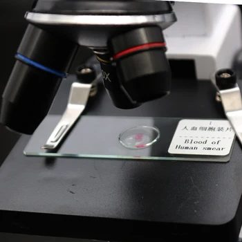 12 kusov Pripravené mikroskopické preparáty Sklo Biologické Vzorky Zvierat, Rastlín Ľudského Tkaniva List pre Študentov Vzdelávanie Štúdium