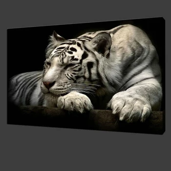 Biely Tiger Plátno na Maľovanie na Stenu, voľne Žijúcich Zvierat, Plagáty a Tlačí na Steny Umelecké Dekoratívne Fotografie pre Obývacia Izba Domova
