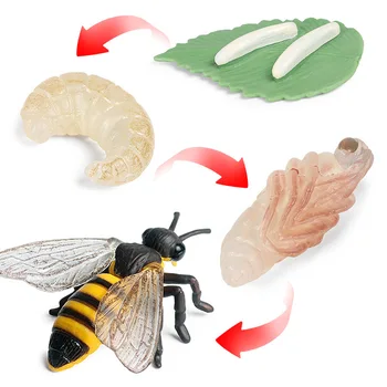 Nové Hmyzu Animal Model Simulácie Bee Cyklu Rastu Akčné Figúrky Zbierať Miniatúrne Poznanie Vzdelávacie Hračky pre deti Darček