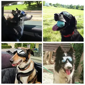 Psa slnečné Okuliare UV Ochranu Proti Vetru-lámanie Okuliare Pet Oko Nosenie Psa Plávanie Korčuľovanie Okuliare Accessaries