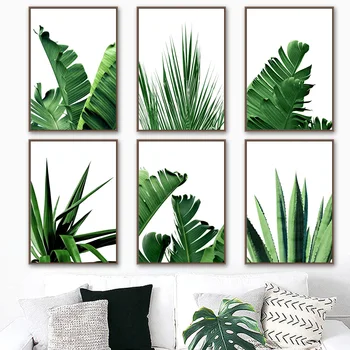 Tropická Zelená Palm Aloe Banán List Wall Art Plátno Na Maľovanie Nordic Plagáty A Potlačou Obrazov Na Stenu Pre Obývacia Izba Dekor