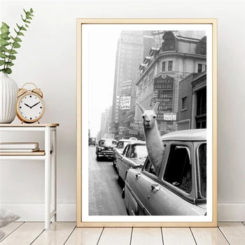 Vtipné Plátno na Maľovanie Lamy Alpaky v New York City Taxi Zvieracie vzory ans Plagáty na Stenu Umenie Fotografie pre Dieťa Spálňa Zázemia