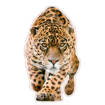 Zaujímavé Prechádzky Leopard Auto Nálepky Motocykel Obtlačky Nepremokavé čelné Sklo Obtlačky PVC 12.9 cm X 22 cm