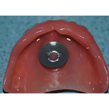 Zubné prísavky protézy doska uchovávania s 1 sada zubné materiál plný protézy alebo akryl protézy