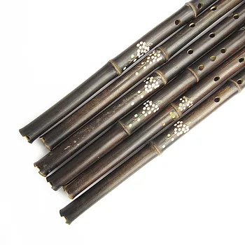 Čínsky Bambusová Flauta Xiao Vertikálne Veterné hudobné Nástroje 6/8 Otvor flauta pre Začiatočníkov Tradičné Fialová Bambu dizi G/F Kľúč